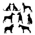 Vector illustration, dog silhouettes, black silhouettes of different breeds with erect ears Royalty Free Stock Photo