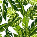 Botanical seamless tropical pattern with bright plants and leaves on a colorful background. Summer colorful Hawaiian seamless patt