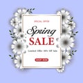 Spring sale background with a beautiful Daisy flower. Vector illustration template.banners.Wallpaper.flyers, invitations, posters, Royalty Free Stock Photo