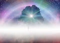 Tree of knowledge, girl silhouette, cosmos, spinning stars sky Royalty Free Stock Photo