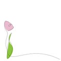 Flowers tulip spring line drawn on white background vector