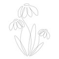 Flowers silhouette continuous line drawing vector