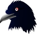 Icon, raven head, vector illustration Royalty Free Stock Photo