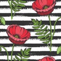 Hand drawn red poppies seamless pattern isolated on grunge striped background. Royalty Free Stock Photo