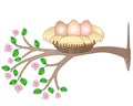 Nest with three eggs on a flowering tree - vector spring full color picture. A bird`s cozy cute nest on a branch with pink flower