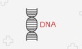 DNA icon, outline gene code symbol, thin line vector illustration