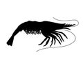 Shrimp - small marine crustacean living underwater - vector silhouette for logo or pictogram. Animal from the ocean - shrimp