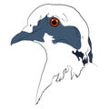 Vector dove for tattoo or t-shirt design or bag