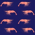 Shrimps on a classic blue background - marine, summer, vector, seamless pattern with the inhabitants of the underwater world. Pink