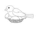 Bird sits on a nest - vector linear picture for coloring. A small bird - a sparrow hatches eggs in a cozy nest. Outline Royalty Free Stock Photo