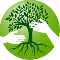 Save tree hands Royalty Free Stock Photo