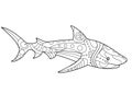 Shark - antistress coloring book - vector linear picture for coloring. Sea dweller - Shark - antistress for marine coloring book.