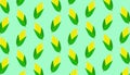 Corn background picture. corn patern. vector image of corn. eps 10