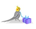 Cockatiel bird is giving a present
