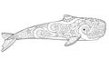 Whale. Sperm whale - a huge animal from the ocean coloring antistress -vector linear picture for coloring.