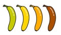 Vector banana growing evolution icons