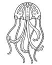 Jellyfish - coloring antistress. Medusa linear vector illustration for coloring. Outline. Hand drawing.