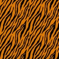 Seamless pattern with tiger stripes. Animal print.