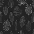 Seamless pattern from a set of tropical or forest leaves of white skeich on a black background, oval type with slices Royalty Free Stock Photo
