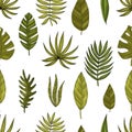 Set tropical or forest leaves with many shades of green, oval or ovoid type with cuts.