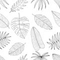 Seamless pattern from a set of tropical or forest leaves of black skeich on a white background, oval type with slices Royalty Free Stock Photo