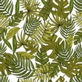 Seamless pattern from a set of tropical or forest leaves with many shades of green on a white background, oval type with slices Royalty Free Stock Photo