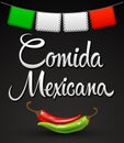 Comida Mexicana, Mexican Food spanish text Vector design.