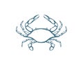 Blue crab logo. Isolated blue crab on white background Royalty Free Stock Photo