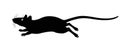 Running rat - vector silhouette for pictogram or logo. Silhouette of a rat or mouse galloping fast for a sign or icon. Running lit Royalty Free Stock Photo