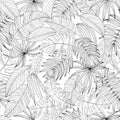 Seamless pattern from a set of tropical or forest leaves in sketch style on an isolated white background Royalty Free Stock Photo