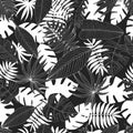 Seamless pattern from a set of tropical or forest leaves in black and white sketch style on black background Royalty Free Stock Photo