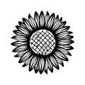 Detailed sunflower plant flat black and white vector design art illustration