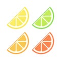 Assorted colored citrus fruit quarter slice simple vector icon logo illustration design set.