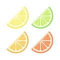 Assorted citrus fruit quarter slice wedges simple vector icon design Royalty Free Stock Photo