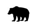 Polar bear icon on white background vector image Royalty Free Stock Photo