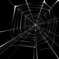 Web