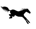Horse. Vector black silhouette of a horse landing after a jump - a sign for a pictogram or logo. Jumping horse is being landed -