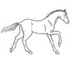 Horse galloping - vector linear picture for coloring. Outline. Hand drawing. A horse in a canter center, phase with support on two