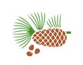 Pine nut logo. Isolated pine nut on white background. Cedar Royalty Free Stock Photo