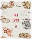 Pet care banner with watercolor cats and dogs. Vet service, cats and dogs care, animals health care, hospital advertising poster d