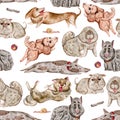 Seamless pattern with dogs and design elements collection. Cute funny characters, dog emotion and feelings. Royalty Free Stock Photo