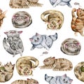 Seamless pattern with cats. Cute funny characters, cat emotions and feelings.