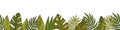 Seamless border pattern tropical or forest leaves with many shades of green, oval or ovoid type with cuts.