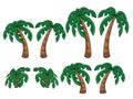 Illustration of various date palms in different heights