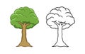 Cartoon tree colored and outline vector illustration. Simple coloring worksheet workbook page for kids.