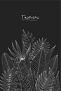 Poster with hand drawn tropical or forest leaves of white skeich on a black chalkboard background, oval or ovoid type