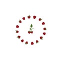 Circle of red berries. Pattern of raspberries, white flowers in the shape of a circle.