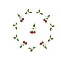 Circle of red berries. Pattern of raspberries, white flowers in the shape of a circle.