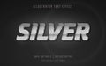 Silver text effect - editable text effect