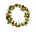 Pattern of yellow berries, flowers and leaves. Wreath with berries raspberries Royalty Free Stock Photo